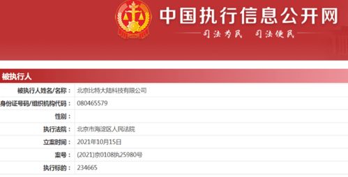 比特大陸新增被執(zhí)行人信息 執(zhí)行標(biāo)的超23萬元，牽涉計(jì)算機(jī)軟硬件技術(shù)開發(fā)